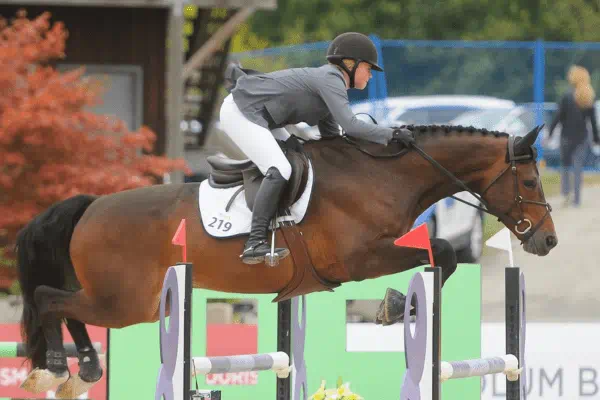 female on horse leaping over poles