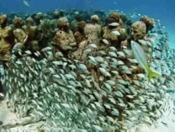 underwater photo with coral and a school of fish 