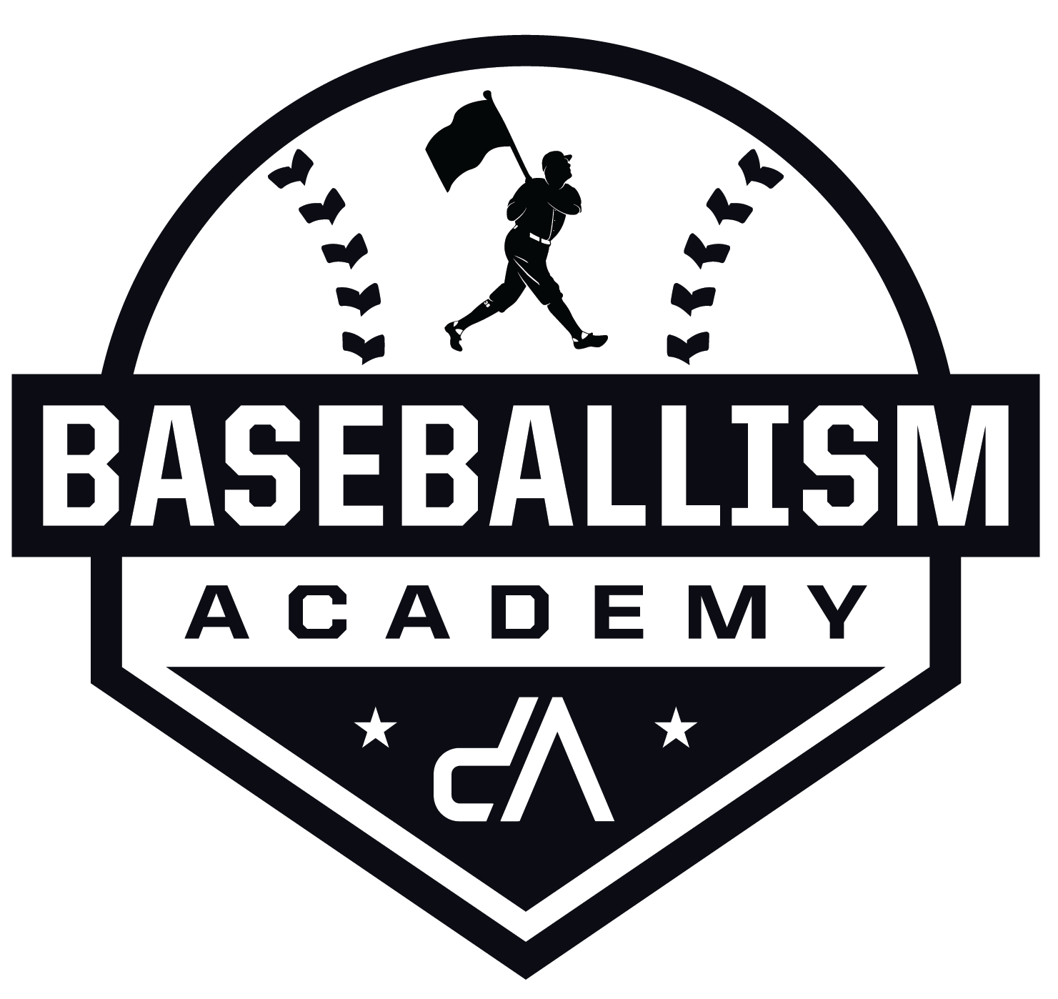 Baseballism Academy