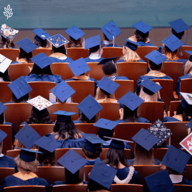 How Many AP® Courses are There? 